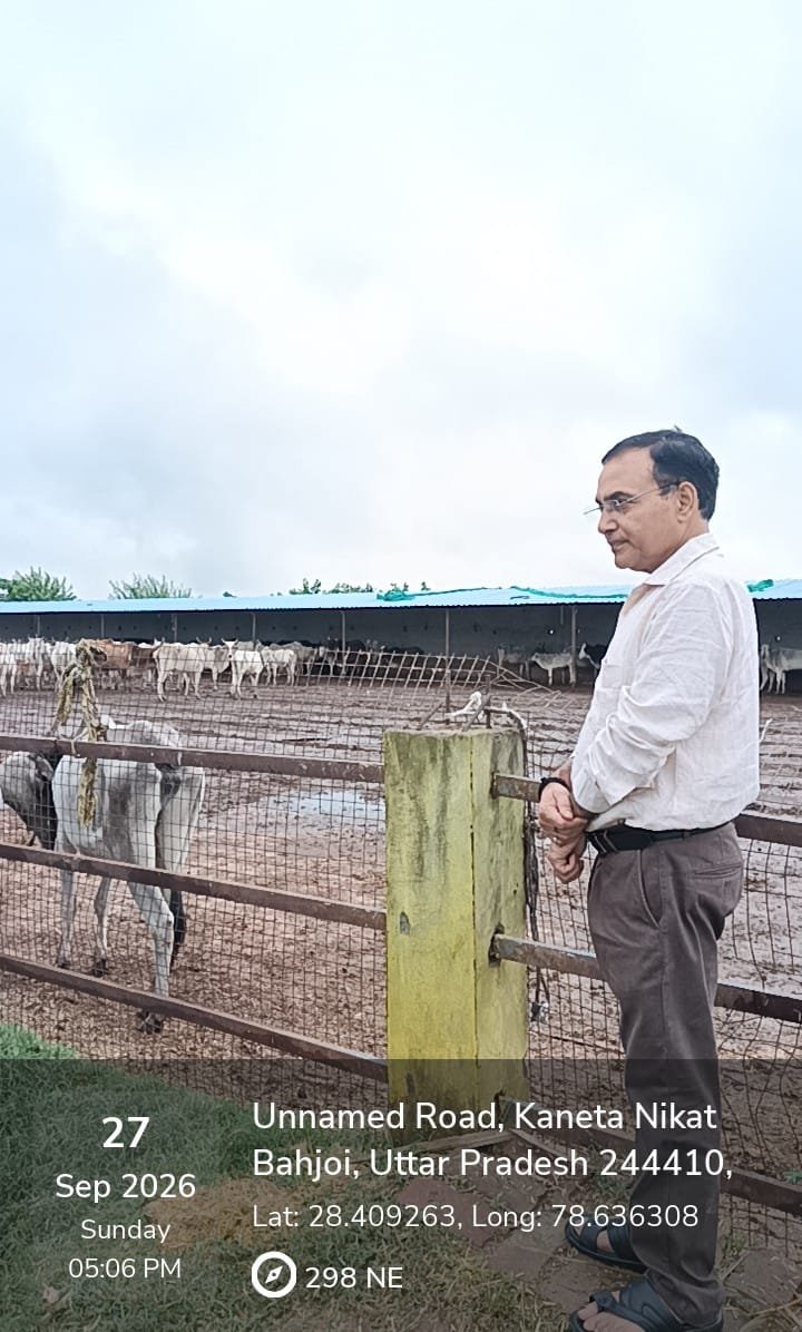मुख्य विकास अधिकारी ने अस्थायी गौशाला का किया निरीक्षण