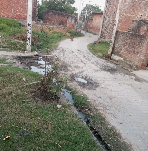 बगरेठी में बदहाल नालियां, गंदगी से बीमारी फैलने का खतरा